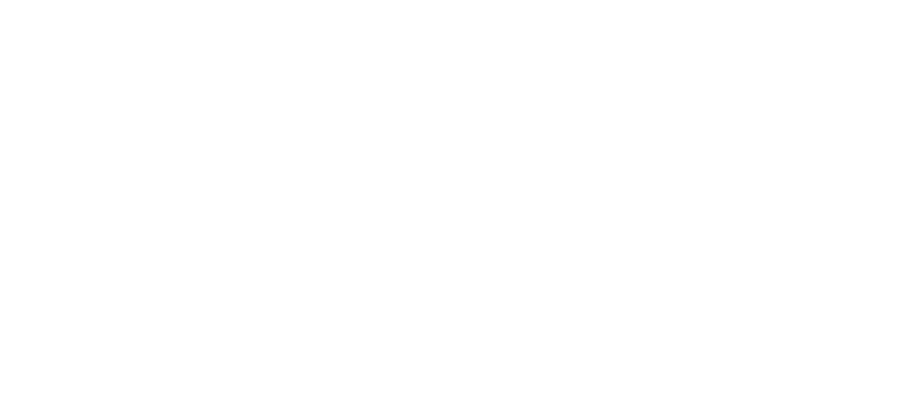 Sälzer Logo weiß
